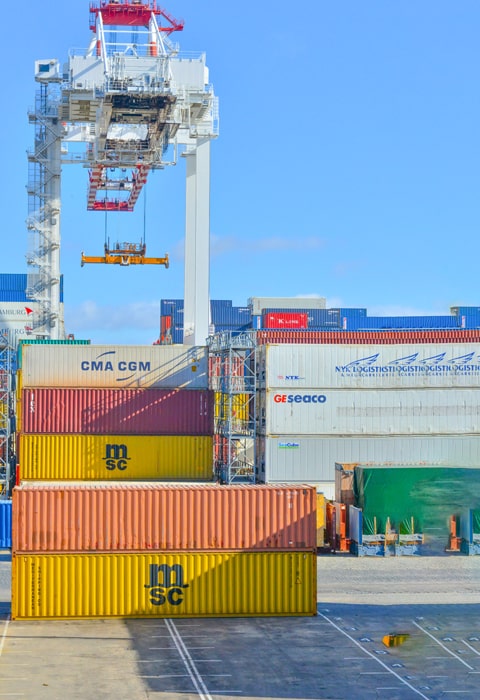 immensity logistics